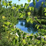© val-cenis-ete-vtt-circuit-des-truites - CCHMV