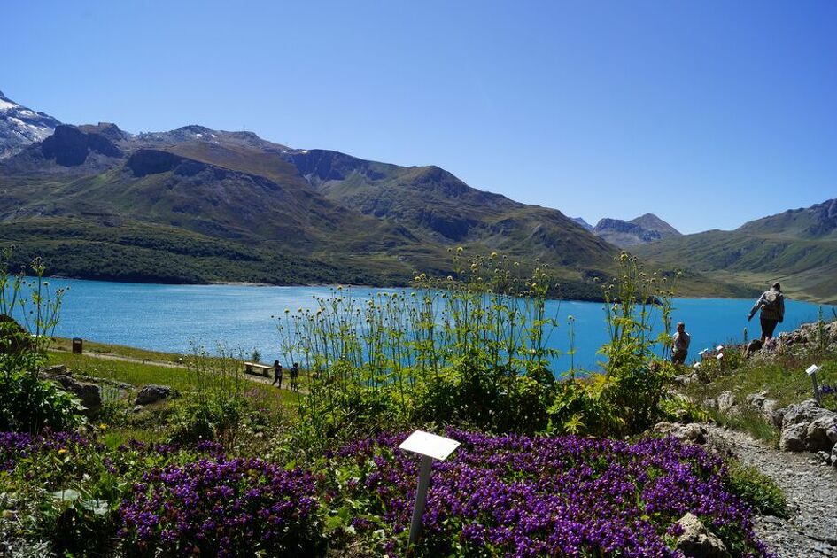 © Lac et Jardin Alpin du Mont-Cenis - OT Haute-Maurienne-Vanoise