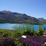 © Lac  et Jardin Alpin du Mont-Cenis - OT Haute-Maurienne-Vanoise