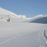 © Refuge de Vallonbrun - refuge du Parc national de la Vanoise - PNV/JOURDAN Jérémie