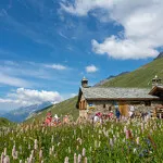 Toevluchtsoord Vallonbrun - Vanoise Nationaal Park toevluchtsoord - PNV