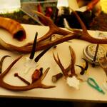 © Bois de cervidés trouvés en montagne - Bureau des Accompagnateurs en montagne de Val Cenis Vanoise