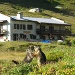 Refuge Le Petit Mont Cenis - igor.charon