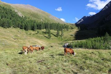 © val-cenis-bramans-refuge-bramanette - martial.peccoz