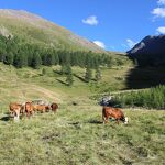 © val-cenis-bramans-refuge-bramanette - martial.peccoz