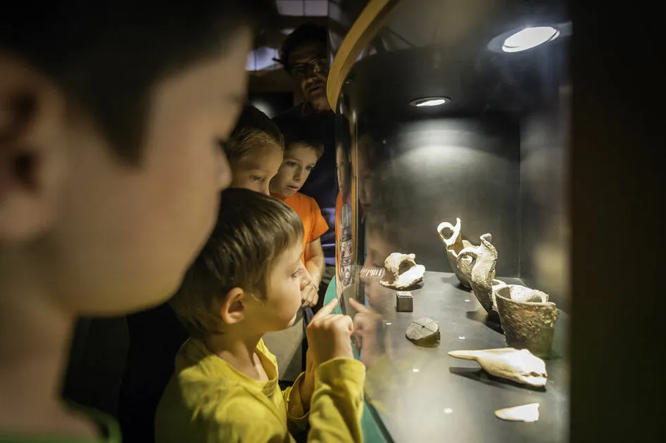 © Visite animée du musée - Dominique Rault