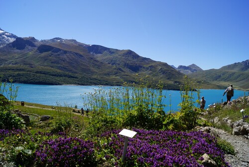 Le Jardin Alpin du Mont-Cenis