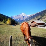 © Appartement labellisé 4 personnes au pied des pistes de Lanslebourg - Eisen Gérald