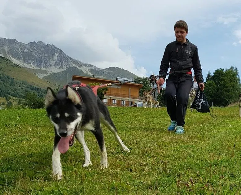 © val-cenis-lanslebourg-cani-rando - Husky Adventure