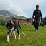 © val-cenis-lanslebourg-cani-rando - Husky Adventure