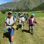 © Randonnée avec ânes bâtés à la Maison des guides de Val Cenis - Karine Routin