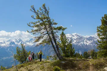 © Sortie accompagnée été avec Vanoise Pulsation Nature - © Jean-Yves PLOYER