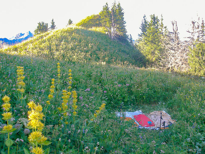 © Sortie Bivouac des familles ou "Hôtel 1000 étoiles" - Bivouac des familles © Jean-Yves PLOYER