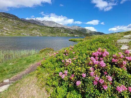 Le Lac Blanc