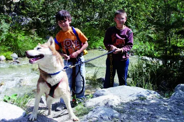 © Photo - husky-adventure