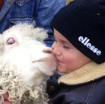 © Enfant et mouton - Anouchka Bianchi