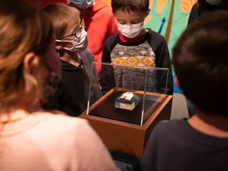 Rondleiding door het Archeologisch Museum - HMVT/D. Cuvelier