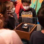 Rondleiding door het Archeologisch Museum - HMVT/D. Cuvelier