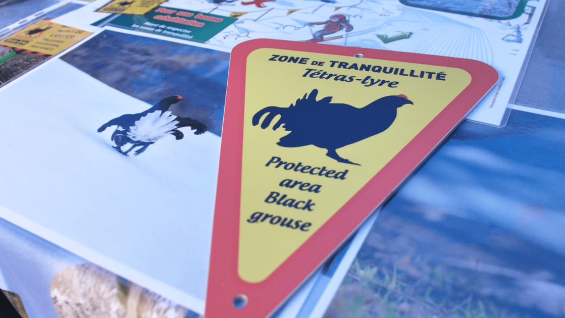 © Evènement "Nature et Ski" à Val Cenis - D.Cuvelier - OT HMV