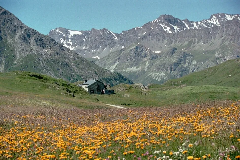 © Col du Petit Mont-Cenis - Florence De Grolée