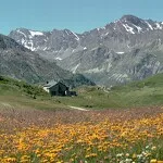 © Col du Petit Mont-Cenis - Florence De Grolée