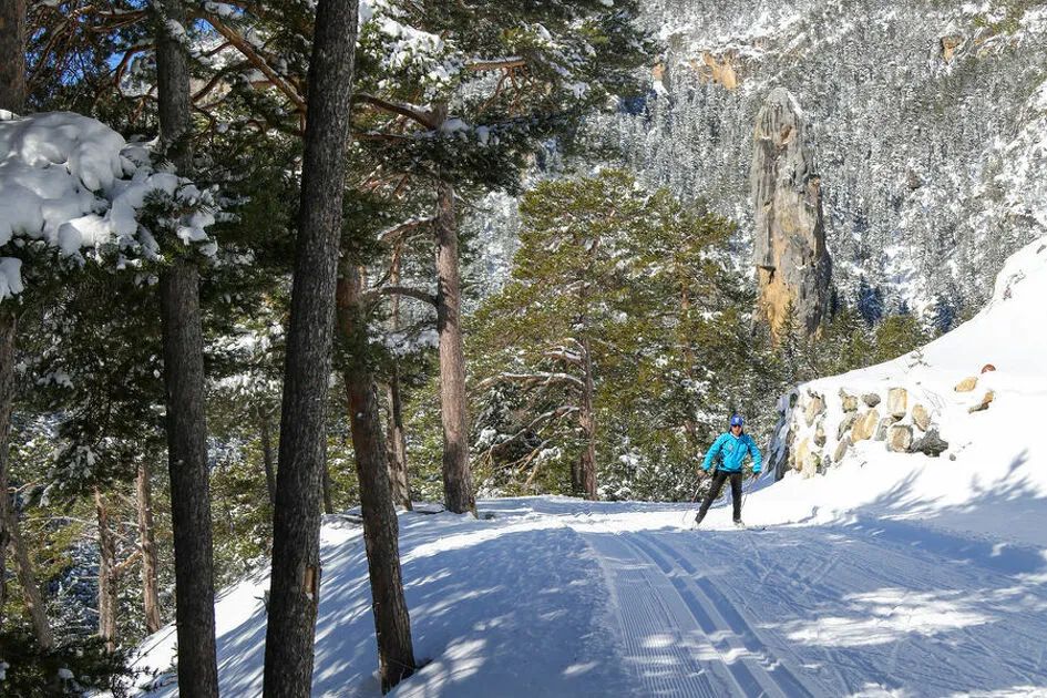 © Forêt du monolithe à Val Cenis-Sardières - Alicia Magnenot/HMVT