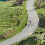 © Cycliste route de Bellecombe - D.Cuvelier - OTHMV