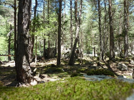 Terrain de paintball