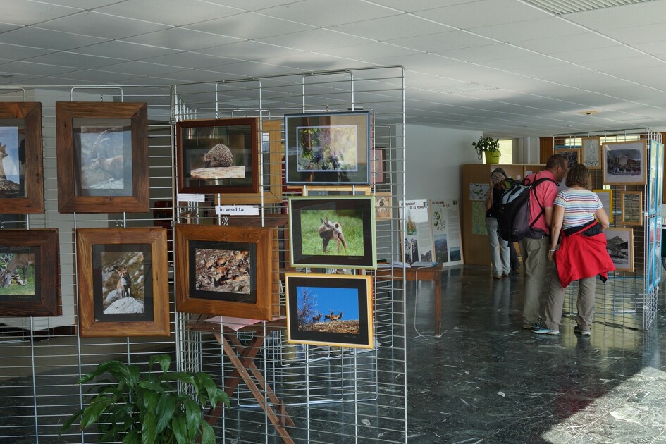 © La Maison franco-italienne du Mont Cenis, lieu d'information et d'exposition - OT HMV