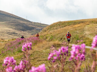 © EDF Cenis Tour - R.Salles - OTHMV