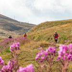 © EDF Cenis Tour - R.Salles - OTHMV