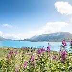 © Le plateau du Mont-Cenis en été - J.Cathala - OTHMV