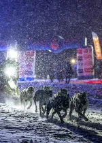 La Grande Odyssée Royal Canin -Etape 6 Aussois