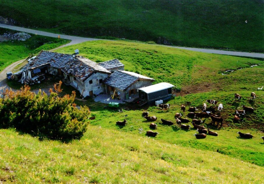 © Les Fromages de Chavière à Val Cenis-Termignon - Producteurs des Savoie