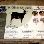 © Visite de la P'tite Ferme d'Antho - A.Jorcin