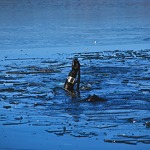 © Plongée sous glace en apnée à Val Cenis - Pixabay