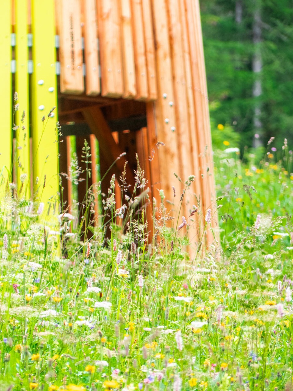 © La cabane en prairie du chemin du petit bonheur - Lanslevillard - HMVT - R Salles