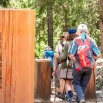 © Randonneurs sur le chemin du petit bonheur - CCHMV