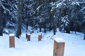 © Les petits pas du chemin du petit bonheur en hiver - CCHMV -APN
