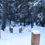 © Les petits pas du chemin du petit bonheur en hiver - CCHMV -APN