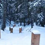 © Les petits pas du chemin du petit bonheur en hiver - CCHMV -APN