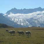 © Sentier Balcon - K.Mandray