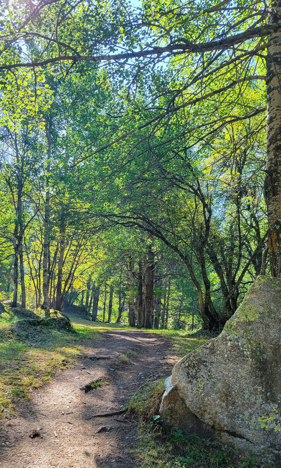 © Sentier sylvicole - CCHMV APN