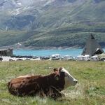 © Col du Mont-Cenis - © D. Dereani - Fondation Facim