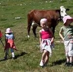 © enfants___vache.jpg - CIS
