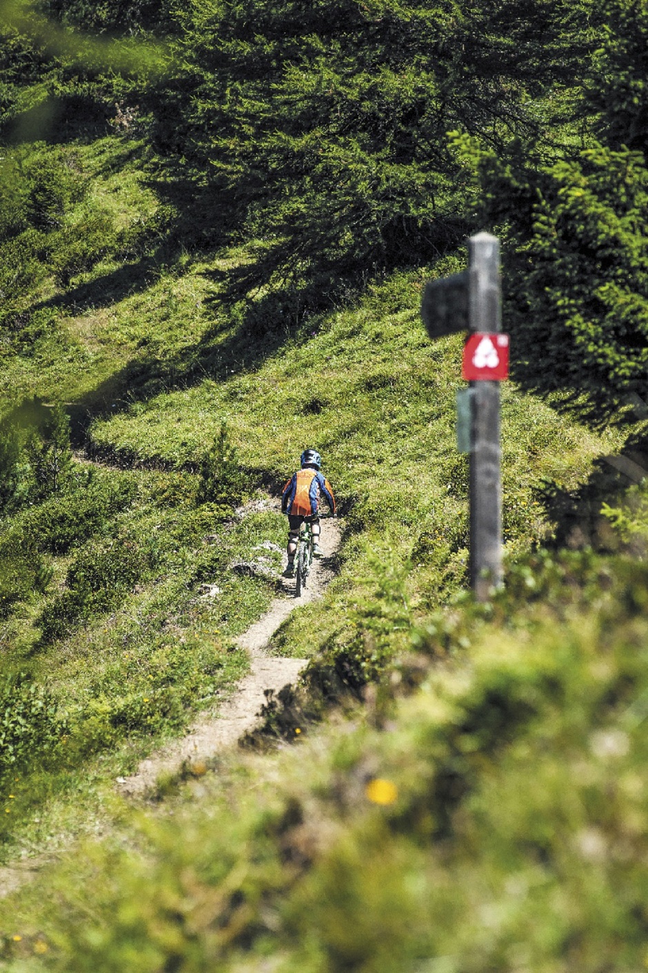 © l'art de la selle - cchmv