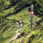 © l'art de la selle - cchmv