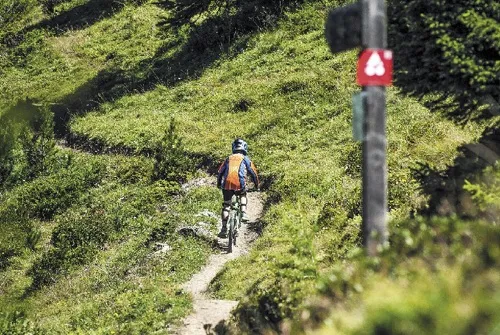 VTT Enduro  : L'Art de la Selle