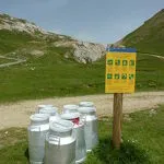 Wandelen op de bergweiden Entre deux Eaux - K.Mandray