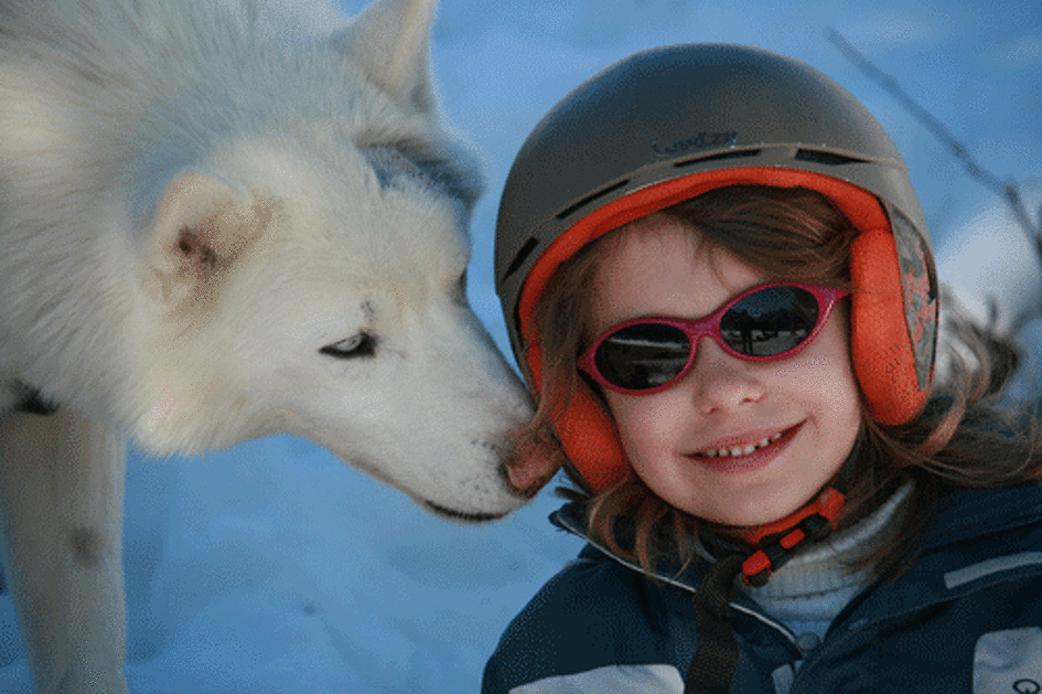 © CHIENS4.gif - Neige et Soleil